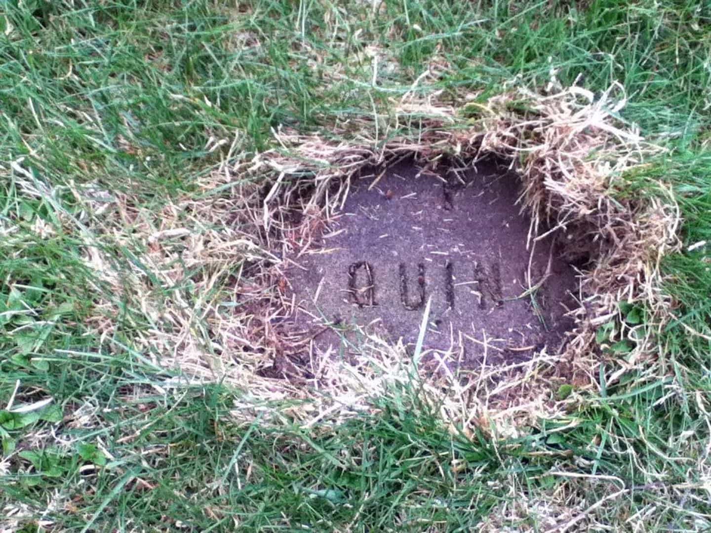 Pat Quinn's grave